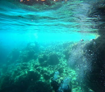 青の洞窟専門店　沖縄ダイビングショップ和に投稿された画像（2024/7/12）