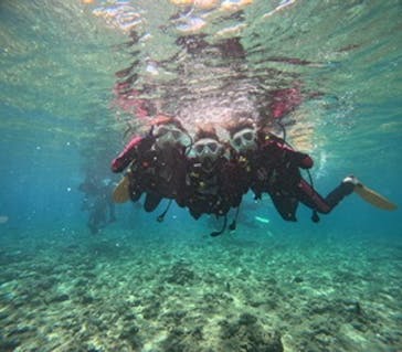 沖縄マリンサービス碧に投稿された画像（2024/7/12）