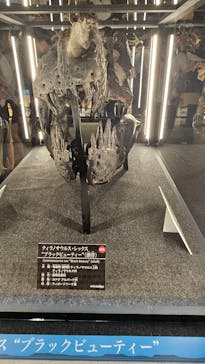 福井県立恐竜博物館に投稿された画像（2024/7/12）