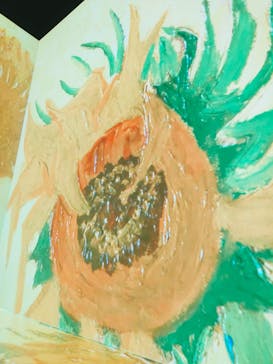 Immersive Museum OSAKA 2025に投稿された画像（2024/7/12）