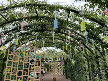 横浜イングリッシュガーデンに投稿された画像（2024/7/12）