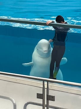 横浜・八景島シーパラダイスに投稿された画像（2024/7/12）