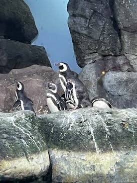 横浜・八景島シーパラダイスに投稿された画像（2024/7/12）