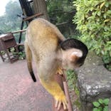 伊豆シャボテン動物公園に投稿された画像（2024/7/12）