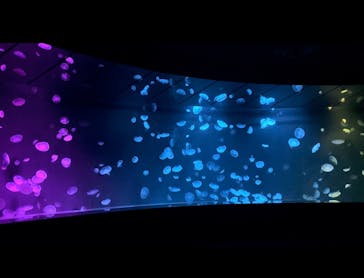 サンシャイン水族館に投稿された画像（2024/7/12）