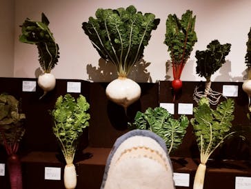 和食～日本の自然、人々の知恵～（東北歴史博物館）に投稿された画像（2024/7/12）