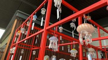 京都水族館に投稿された画像（2024/7/12）