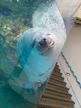 京都水族館に投稿された画像（2024/7/12）