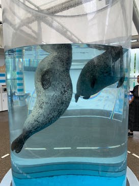京都水族館に投稿された画像（2024/7/12）