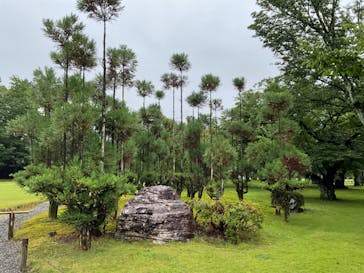 元離宮二条城に投稿された画像（2024/7/12）