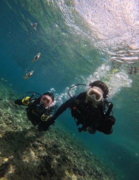 武藤潜水に投稿された画像（2024/7/12）