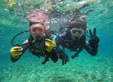 武藤潜水に投稿された画像（2024/7/12）