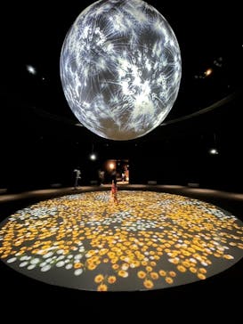 NIFREL（ニフレル）に投稿された画像（2024/7/12）