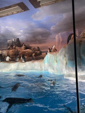 名古屋港水族館に投稿された画像（2024/7/12）