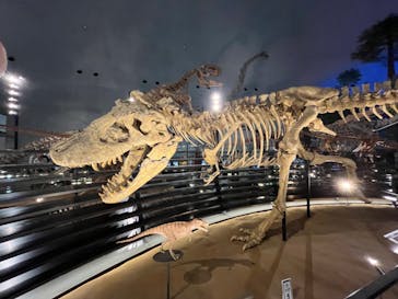 福井県立恐竜博物館に投稿された画像（2024/7/12）
