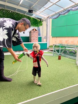 おさるランド＆アニタウン　日光さる軍団劇場に投稿された画像（2024/7/12）