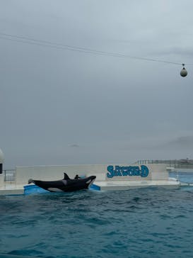 鴨川シーワールドに投稿された画像（2024/7/12）