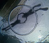 青の洞窟専門店　沖縄ダイビングショップ和に投稿された画像（2024/7/12）