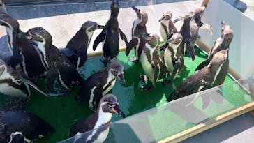 南知多ビーチランド＆南知多おもちゃ王国に投稿された画像（2024/7/12）