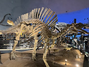 福井県立恐竜博物館に投稿された画像（2024/7/12）