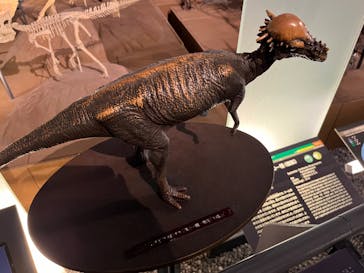 福井県立恐竜博物館に投稿された画像（2024/7/12）