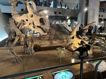 福井県立恐竜博物館に投稿された画像（2024/7/12）