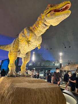 福井県立恐竜博物館に投稿された画像（2024/7/12）