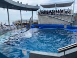 大分マリーンパレス水族館 「うみたまご」に投稿された画像（2024/7/12）