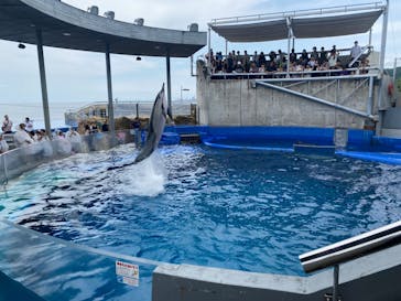 大分マリーンパレス水族館 「うみたまご」に投稿された画像（2024/7/12）