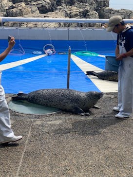 大分マリーンパレス水族館 「うみたまご」に投稿された画像（2024/7/12）