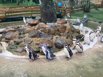 那須どうぶつ王国に投稿された画像（2024/7/12）