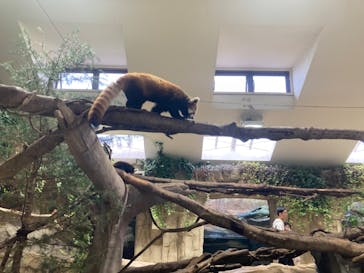 那須どうぶつ王国に投稿された画像（2024/7/12）