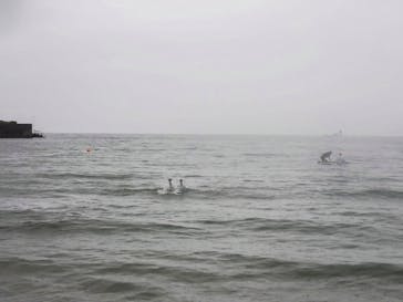 OCEANSに投稿された画像（2024/7/12）