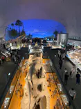 福井県立恐竜博物館に投稿された画像（2024/7/12）
