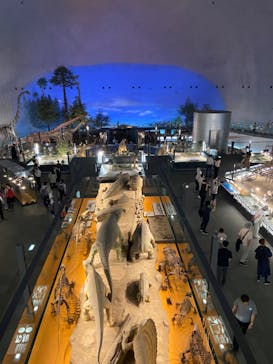 福井県立恐竜博物館に投稿された画像（2024/7/12）