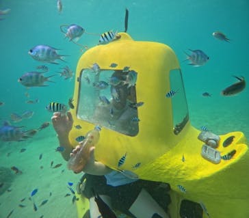 思い出販売所 美ら海に投稿された画像（2024/7/12）