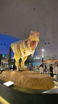 福井県立恐竜博物館に投稿された画像（2024/7/12）