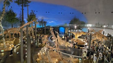 福井県立恐竜博物館に投稿された画像（2024/7/12）