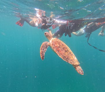  マリンショップHAPPYに投稿された画像（2024/7/12）