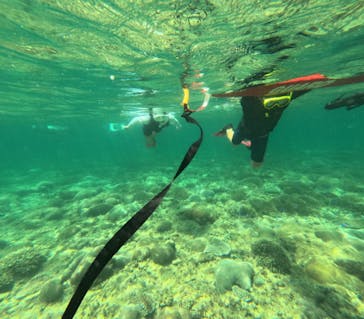  マリンショップHAPPYに投稿された画像（2024/7/12）