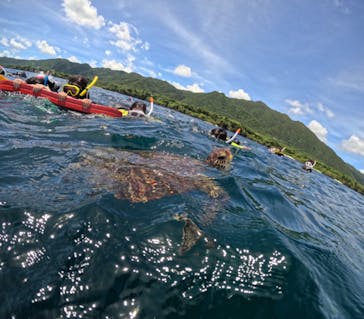  マリンショップHAPPYに投稿された画像（2024/7/12）