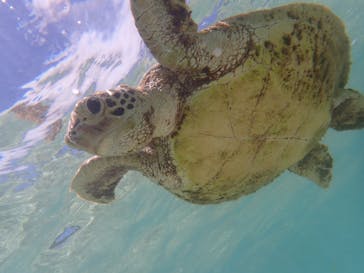 nico 宮古島に投稿された画像（2024/7/12）