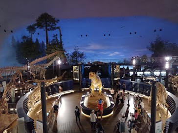 福井県立恐竜博物館に投稿された画像（2024/7/12）