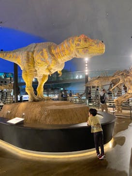 福井県立恐竜博物館に投稿された画像（2024/7/12）