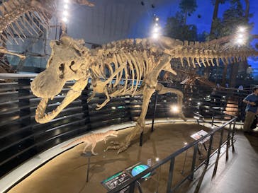 福井県立恐竜博物館に投稿された画像（2024/7/12）