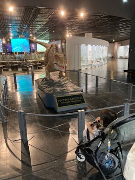 福井県立恐竜博物館に投稿された画像（2024/7/12）