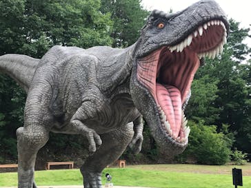 福井県立恐竜博物館に投稿された画像（2024/7/12）