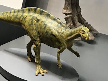 福井県立恐竜博物館に投稿された画像（2024/7/12）