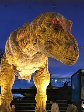 福井県立恐竜博物館に投稿された画像（2024/7/12）