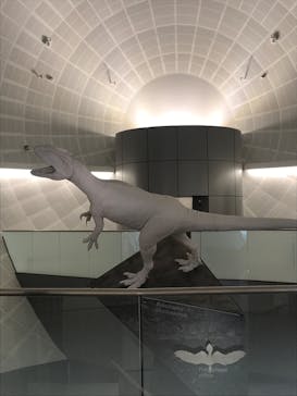 福井県立恐竜博物館に投稿された画像（2024/7/12）